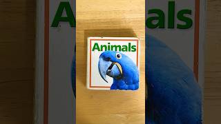 Hinkler Books Animals [upl. by Oiliruam]