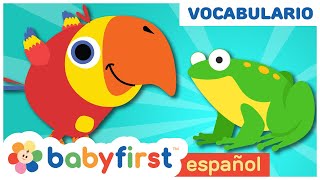 Aprende los animales con huevos sorpresa  Sonidos de Animales para Niños  Baby First TV Español [upl. by Glanville]