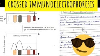 Crossed Immunoelectrophoresis 😎😎Immunotechniques [upl. by Annaig592]