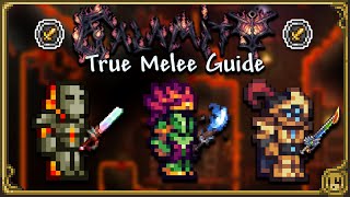 COMPLETE True Melee Guide for Calamity 20 [upl. by Dlonra]