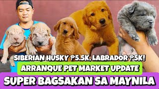 MGA GANAP SA ARRANQUE PET MARKET NGAYON  ARRANQUE PET MARKET  APRIL 04 2024 [upl. by Kehsihba251]