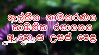 Naming Alkenes ඇල්කීන නාමකරණය Nomenclature Organic Chemistry Advanced Level Part  7 [upl. by Avehsile]