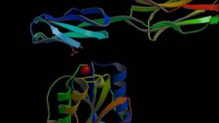 ICAMIntegrin inhibitors Rate My Science [upl. by Lifton]