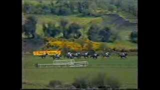 1989 EBF Tattersalls Gold Cup Novice Handicap Chase [upl. by Karlens]