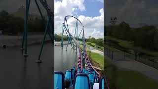 The Mako Roller Coaster Experience😃 seaworldorlando rollercoaster coaster [upl. by Del]