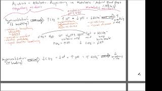 Respiratory versus Metabolic Acidosis and Alkalosis [upl. by Dobrinsky]