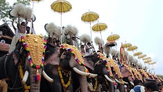 Thrissur Pooram Kudamattam 2017 Full Video [upl. by Irtemed991]