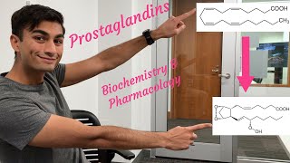 Prostaglandins  Biochemistry and Pharmacology [upl. by Dnomasor699]