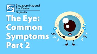 Common Eye Symptoms Part 2 Eye Discharge Red Eyes Itchy Eyes amp Pain in the Eyes [upl. by Laure312]