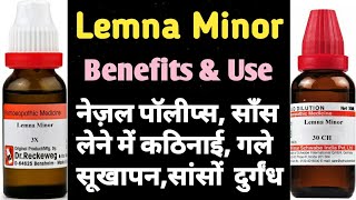 Lemna Minor Homeopathic Medicine Lemna Minor 36302001M लेमना माइनर होमियोपैथीक दावा का फायदे। [upl. by Mcclish]