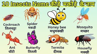 Insects Name in Hindi and English with Pictures  कीड़े मकोड़ों के नाम हिंदी और अंग्रेजी में insect [upl. by Arel]