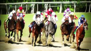 Historic Donn Handicap Kicks Off quotThe Jockey Club Tour on Foxquot Series [upl. by Yokoyama]