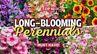 10 Long Blooming Perennial Flowers Add Vibrant Colors to Your Garden All Season Long 👌🌻💚 [upl. by Alika434]