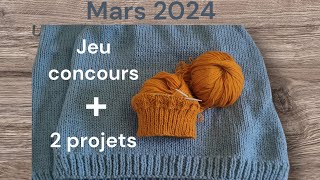 Projets tricot de mars 2024 [upl. by Oiled]