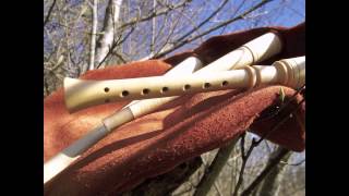 Medieval Bagpipes  The Rostock Bagpipe [upl. by Nart659]