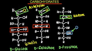 Carbohydrates  Monosaccharides  Biology [upl. by Olette]