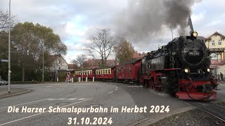 Harzer Schmalspurbahn im Herbst 2024 31102024 4K [upl. by Tivad266]