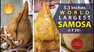 Punjab Largest SAMOSA  53 Inches SAMOSA  ₹ 20 SAMOSA of Raikot Punjab  इतना बड़ा समोसा 🔥🔥 [upl. by Akeenahs]