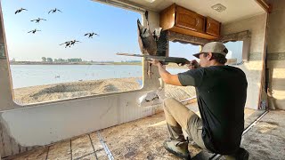 GOOSE HUNTING from a 40ft CAMPER BLIND IT WORKED [upl. by Wood472]