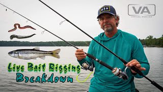 Live Bait Rigging Breakdown With Toby Kvalevog [upl. by Nywled]