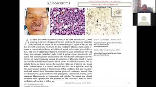 Klebsiella Enterobacter proteus and other enterobacteria [upl. by Most]