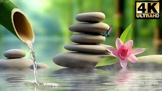 Heals and Repairs Nerve Damage • Relaxing Music Bamboo Fountain  SAKEERA LOPER [upl. by Nohtiek]