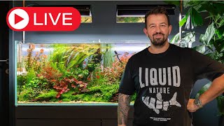 Aquascaping QampA Livestream [upl. by Cirdet]