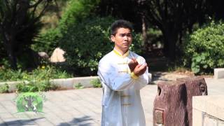 China Tai Chi Wing Chun amp Jeet Kune Do Master Wang [upl. by Onil]