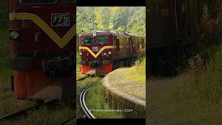 1159 Nawalapitiya  Nanuoya Slow Train Approaches Rozella railway ellatrain travel srilanka [upl. by Thirza]