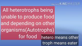 Consumers  heterotrophs  Biological terms [upl. by Acinor]