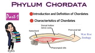 Part1 Introduction and Definition of ChordatesCharacteristics of ChordatesMsc Bsc Zoology NEET [upl. by Aplihs559]