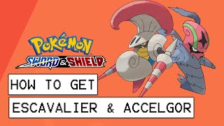 Pokemon Sword amp Shield How To Get Escavalier amp Accelgor How To Evolve Karrablast amp Shelmet [upl. by Donoho]