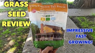 Groundwork Grass seed review Impressive [upl. by Corydon3]