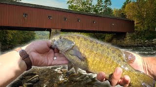 Covered Bridges amp Bronzebacks Fishing the HOUSATONIC River [upl. by Lurlene]