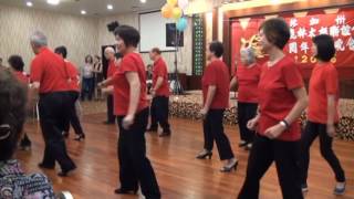 舊歡如夢 Past Love Like Dream line dance [upl. by Abigael]