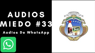 Audios Miedo 33 [upl. by Wilkins626]