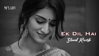 Ek Dil Hai  90s SLOWEDREVERB  Kumar Sanu  Old Lofi Songs  Romantic Song [upl. by Akcirre709]