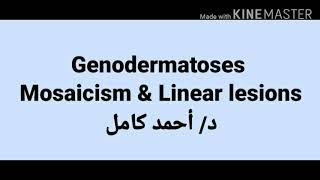 Mosaicism amp Linear lesions [upl. by Ahsilad]