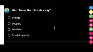 Who chases the minivets away   Class 8th English Question [upl. by Corie]