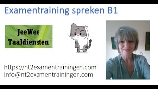 Oefenvideo Staatsexamen spreken B1 [upl. by Lativa]