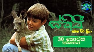 🦘 ස්කිපීගේ වීර ක්‍රියා 30 කොටස අවසානය  The Adventures of Skippy Episode 30 Last🦘 [upl. by Garnet]