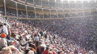 Spain  Madrid  bullfight  the arena [upl. by Grata821]