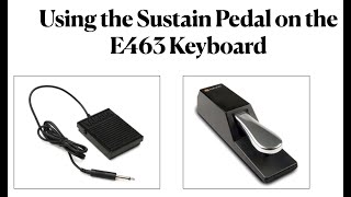 Introduction to Using the Sustain Pedal on the E463 Keyboard [upl. by Akimat]