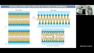 Membrana Citoplasmática e Citoplasma [upl. by Cherlyn]