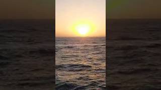 Beautiful Sunset at Arabian Seamumbaisea arabiansea sunset viral shorts trending shortvideo🤩🌅 [upl. by Lrub]