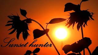 Beautiful sunset  2024102 Sunset hunter [upl. by Rodmann]