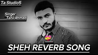 Sheh  Tahir Ahmad  Official Reverb   Ellde Fazilka Latest Punjabi Song2024 [upl. by Flossie]