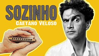 Eduardo Rapaz  Sozinho Caetano Veloso gaita harmonica cover instrumental [upl. by Vasta]