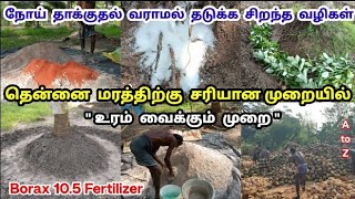 தென்னை மரத்திற்கு சரியான முறையில் உரம் வைப்பது எப்படி   Fertilizer For Coconut Tree  Tamil [upl. by Lehcyar]