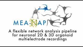 MEANAP A network analysis pipeline for neuronal 2D and 3D organoid multielectrode recordings [upl. by Myrtie]